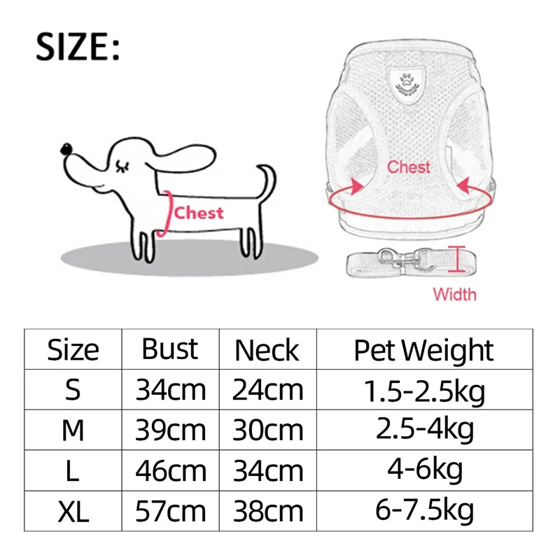 Cat Harness Vest Walking Lead Leash For Puppy Dogs Collar Polyester Adjustable Mesh Dog Harness For Small Medium Pet Accessories - Charliehomemaker store