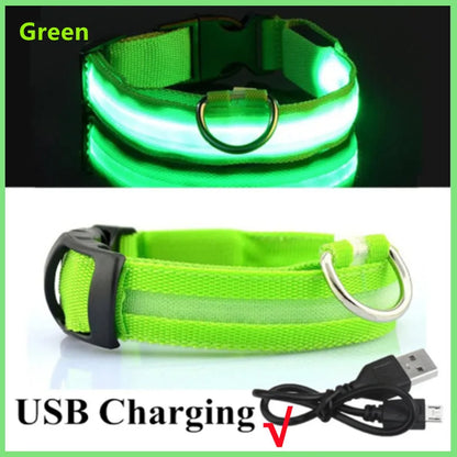 USB Rechargeable Luminous Collar Adjustable Led Glowing Dog Collar for Large Small Dogs Cat Night Light Collar Pet Safety Harnes - Charliehomemaker store