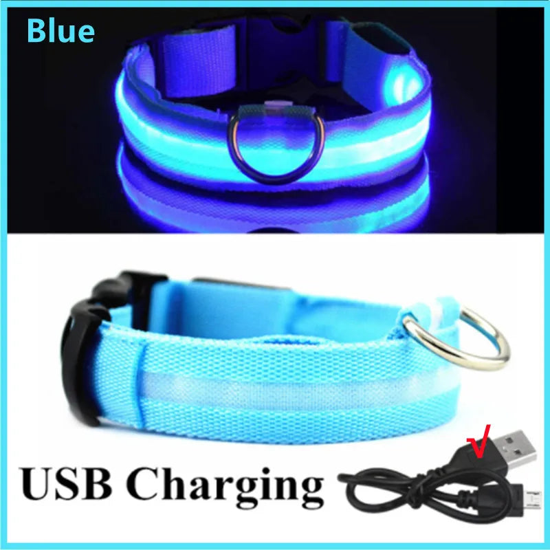 USB Rechargeable Luminous Collar Adjustable Led Glowing Dog Collar for Large Small Dogs Cat Night Light Collar Pet Safety Harnes - Charliehomemaker store