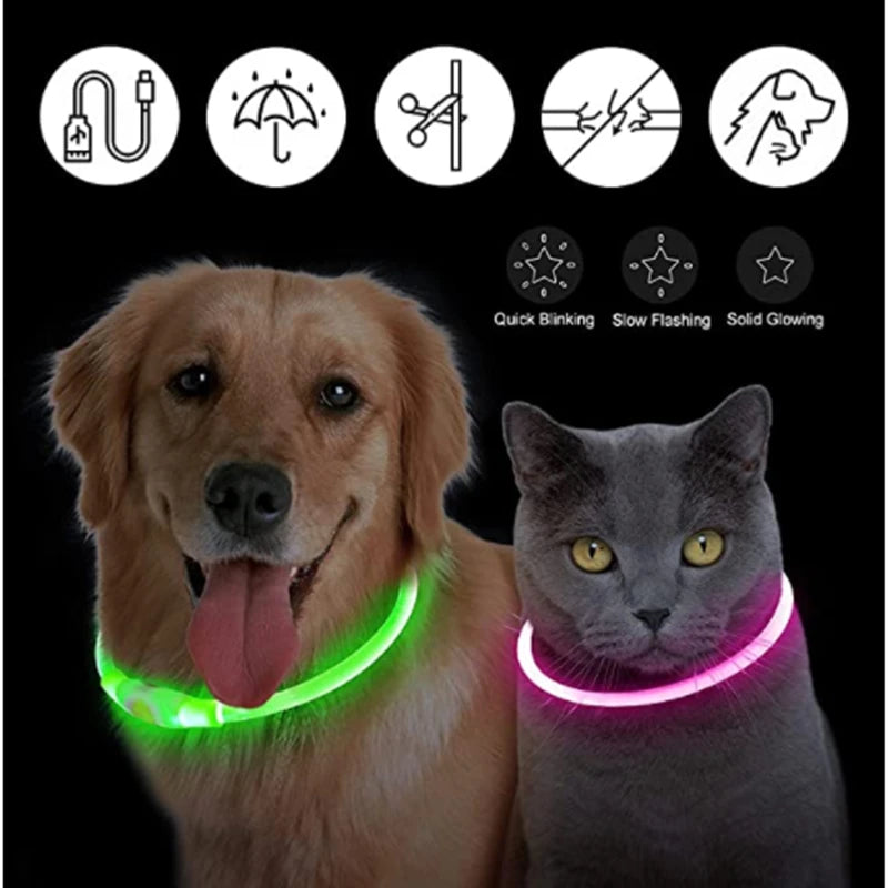 USB Rechargeable Luminous Collar Adjustable Led Glowing Dog Collar for Large Small Dogs Cat Night Light Collar Pet Safety Harnes - Charliehomemaker store