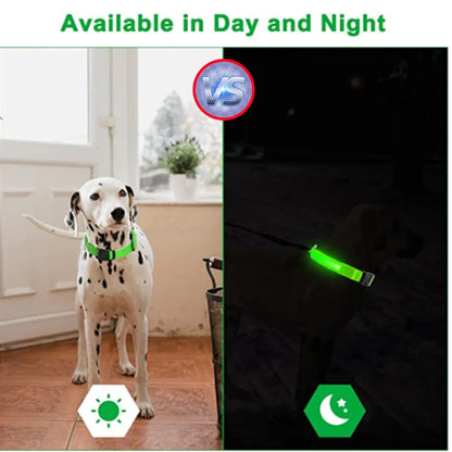 USB Rechargeable Luminous Collar Adjustable Led Glowing Dog Collar for Large Small Dogs Cat Night Light Collar Pet Safety Harnes - Charliehomemaker store