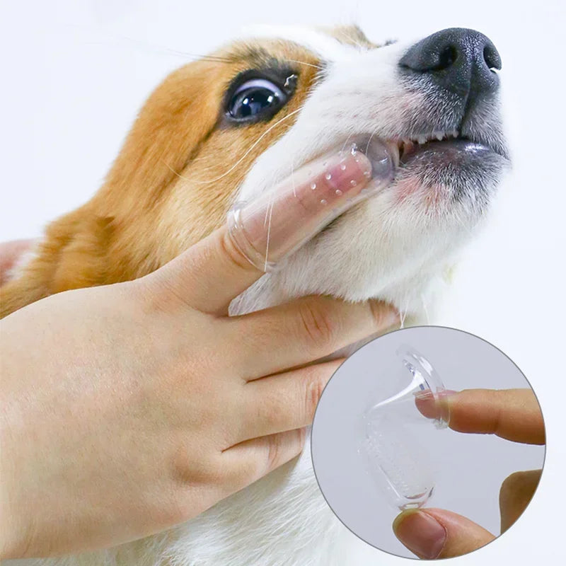 Super Soft Pet Finger Toothbrush Teddy Dog Brush Bad Breath Tartar Teeth Care Tool Dog Cat Cleaning Silicagel Pet Supplies - Charliehomemaker store