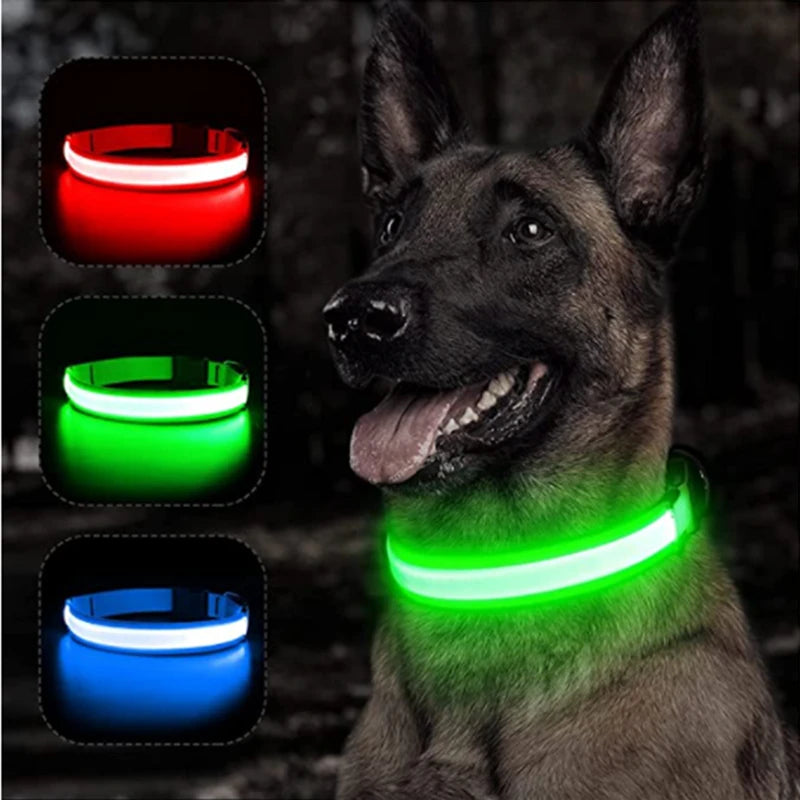 USB Rechargeable Luminous Collar Adjustable Led Glowing Dog Collar for Large Small Dogs Cat Night Light Collar Pet Safety Harnes - Charliehomemaker store