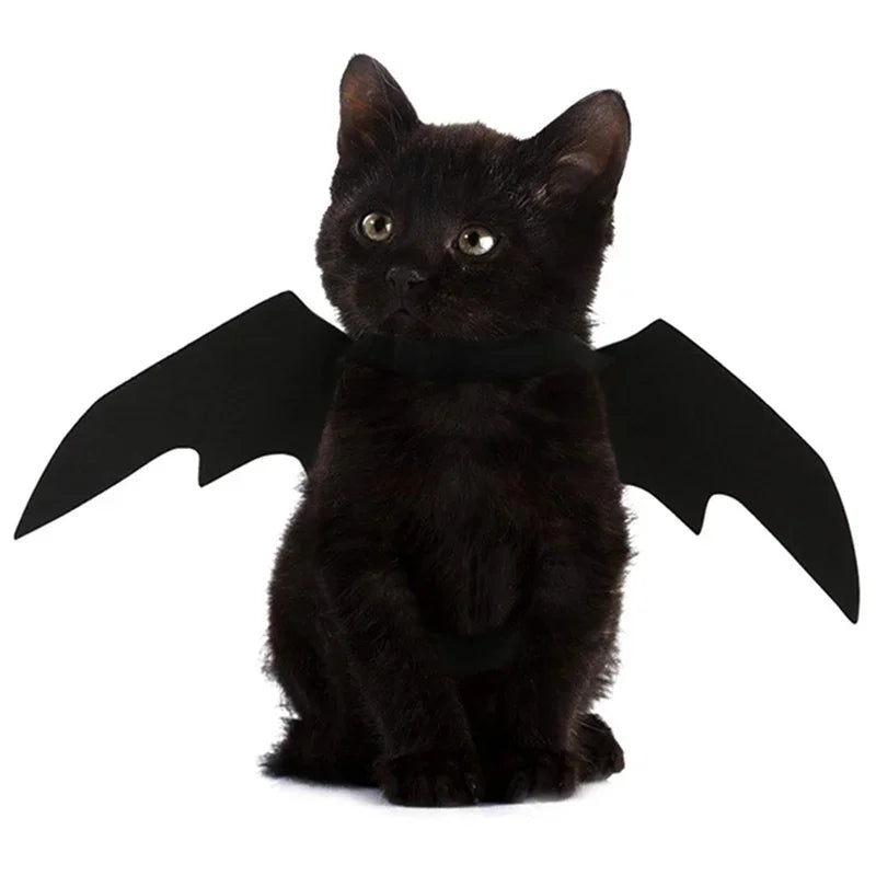 1PcsHalloween Cute Pet Clothes Black Bat Wings Harness Costume Cosplay Cat Dog Halloween Party for Pet Supplies - Charliehomemaker store