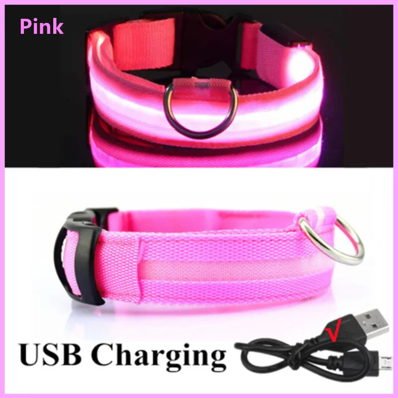 USB Rechargeable Luminous Collar Adjustable Led Glowing Dog Collar for Large Small Dogs Cat Night Light Collar Pet Safety Harnes - Charliehomemaker store