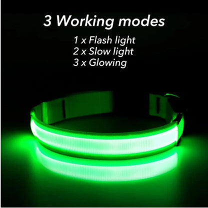 USB Rechargeable Luminous Collar Adjustable Led Glowing Dog Collar for Large Small Dogs Cat Night Light Collar Pet Safety Harnes - Charliehomemaker store