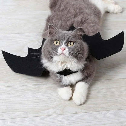 1PcsHalloween Cute Pet Clothes Black Bat Wings Harness Costume Cosplay Cat Dog Halloween Party for Pet Supplies - Charliehomemaker store