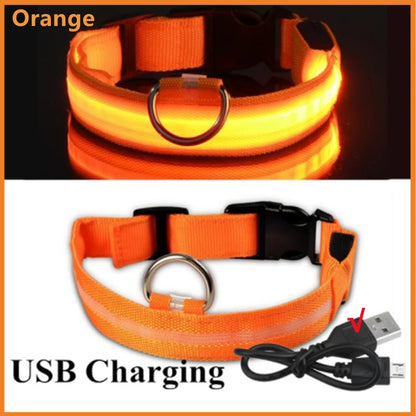 USB Rechargeable Luminous Collar Adjustable Led Glowing Dog Collar for Large Small Dogs Cat Night Light Collar Pet Safety Harnes - Charliehomemaker store