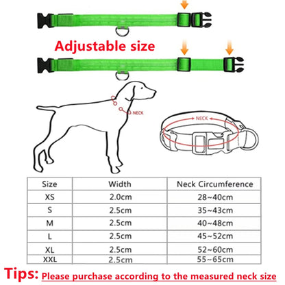 USB Rechargeable Luminous Collar Adjustable Led Glowing Dog Collar for Large Small Dogs Cat Night Light Collar Pet Safety Harnes - Charliehomemaker store