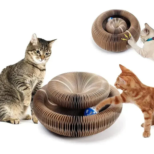 Magic Organ Cat Toy with Ball Cat Scratch Board Cat Grinding Claw Cat Climbing Frame Kitten Round Corrugated Cat Scratching Toy - Charliehomemaker store