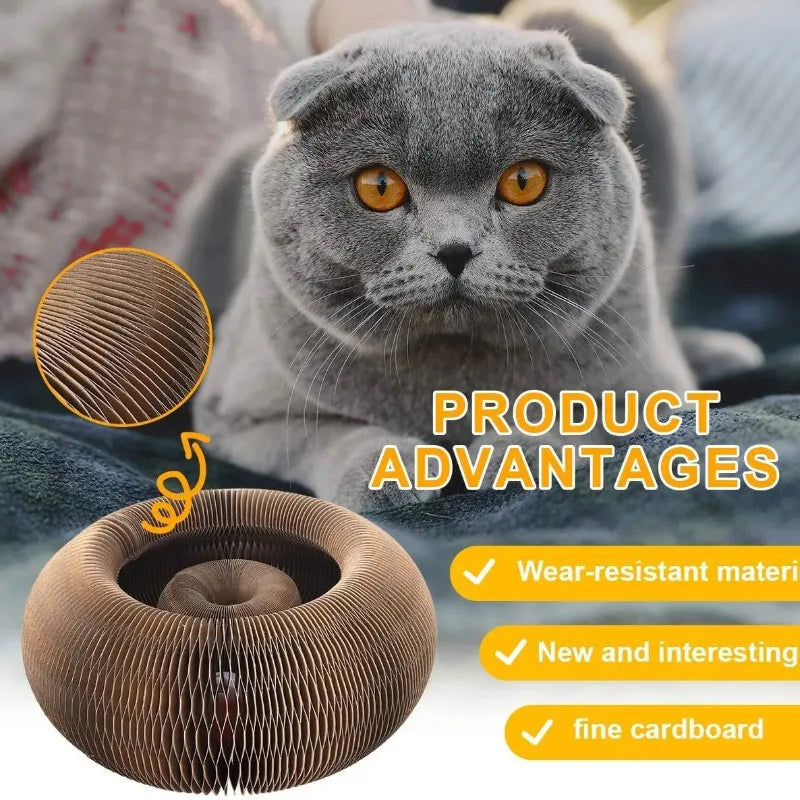 Magic Organ Cat Toy with Ball Cat Scratch Board Cat Grinding Claw Cat Climbing Frame Kitten Round Corrugated Cat Scratching Toy - Charliehomemaker store